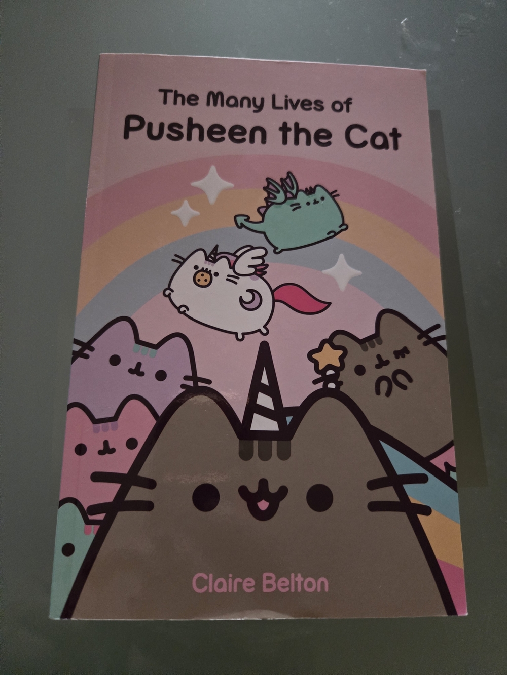 Pusheen Pink Rainbow Cover Book - Pastel Multicolor